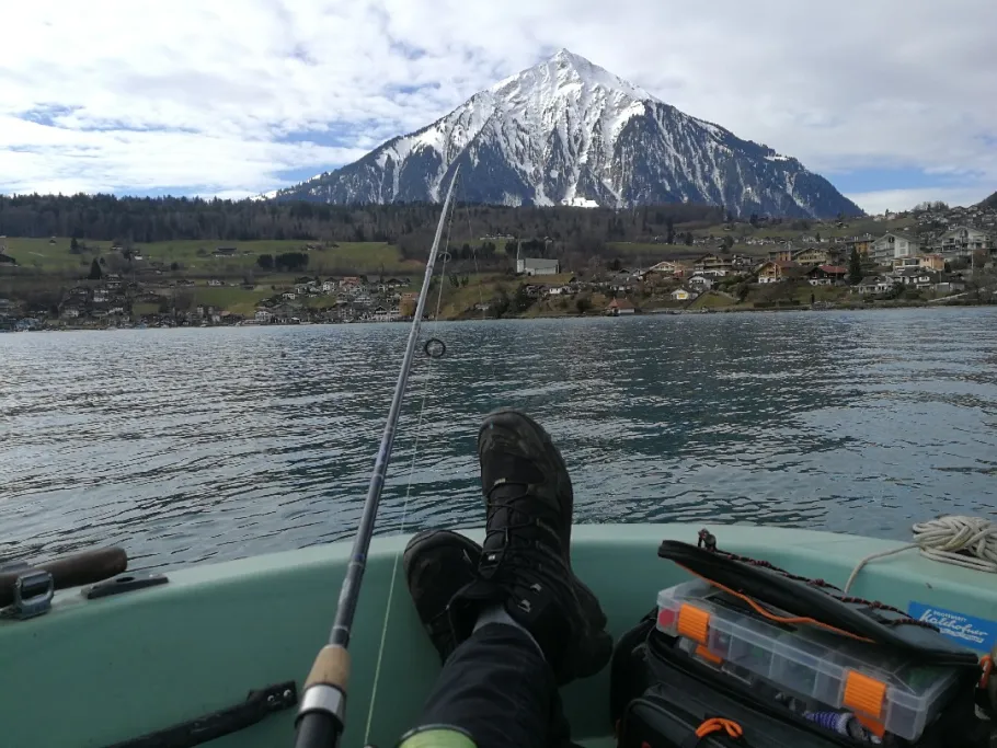 Thunersee angeln
