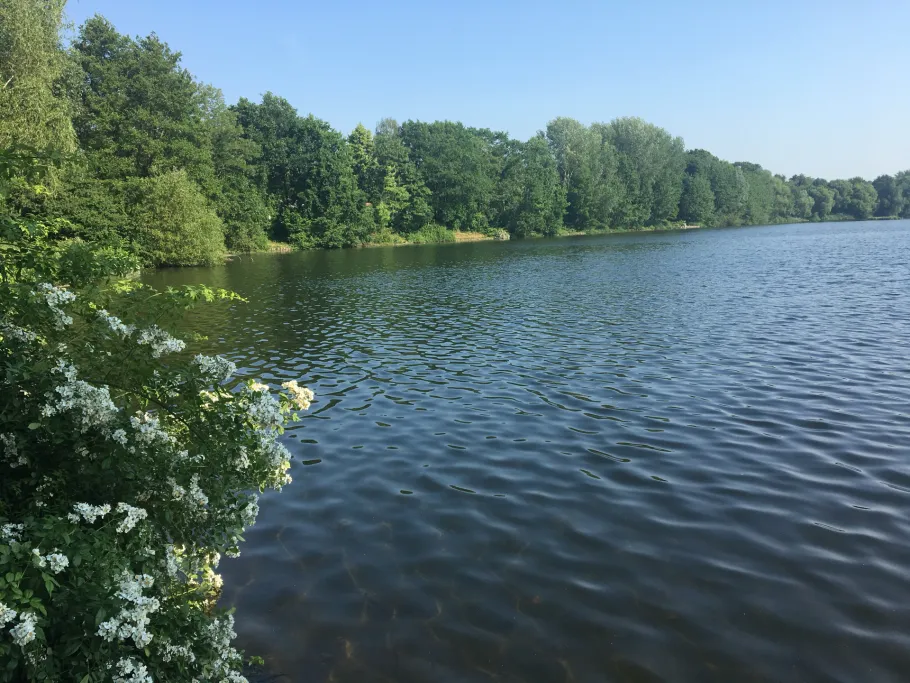 Blauer See (Dorsten) angeln