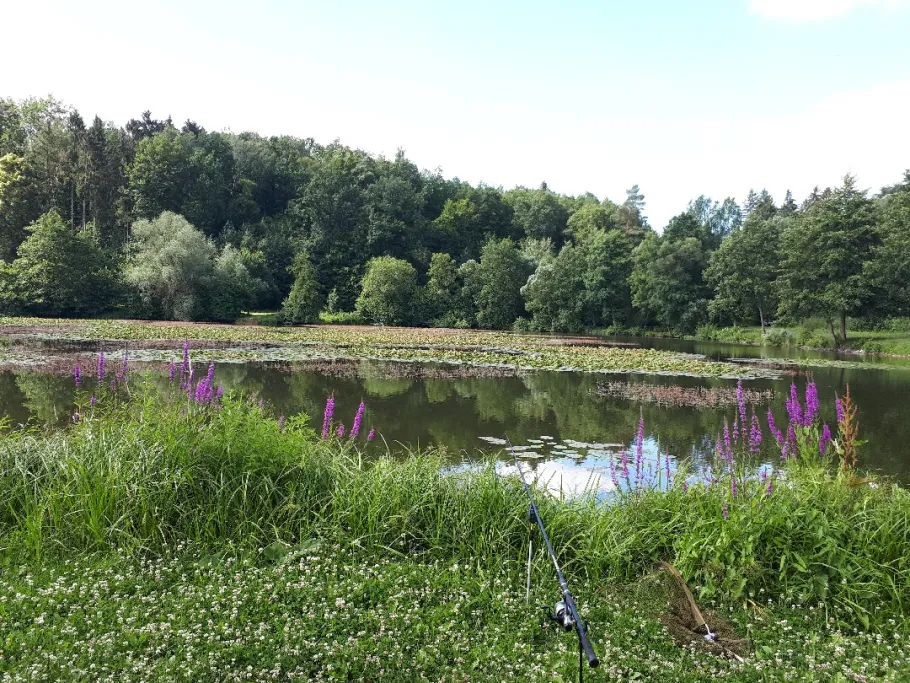 Siebenborn (Eisenach) angeln