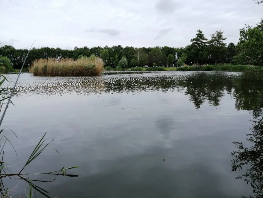 Wanssums Ven (Oostrum) angeln