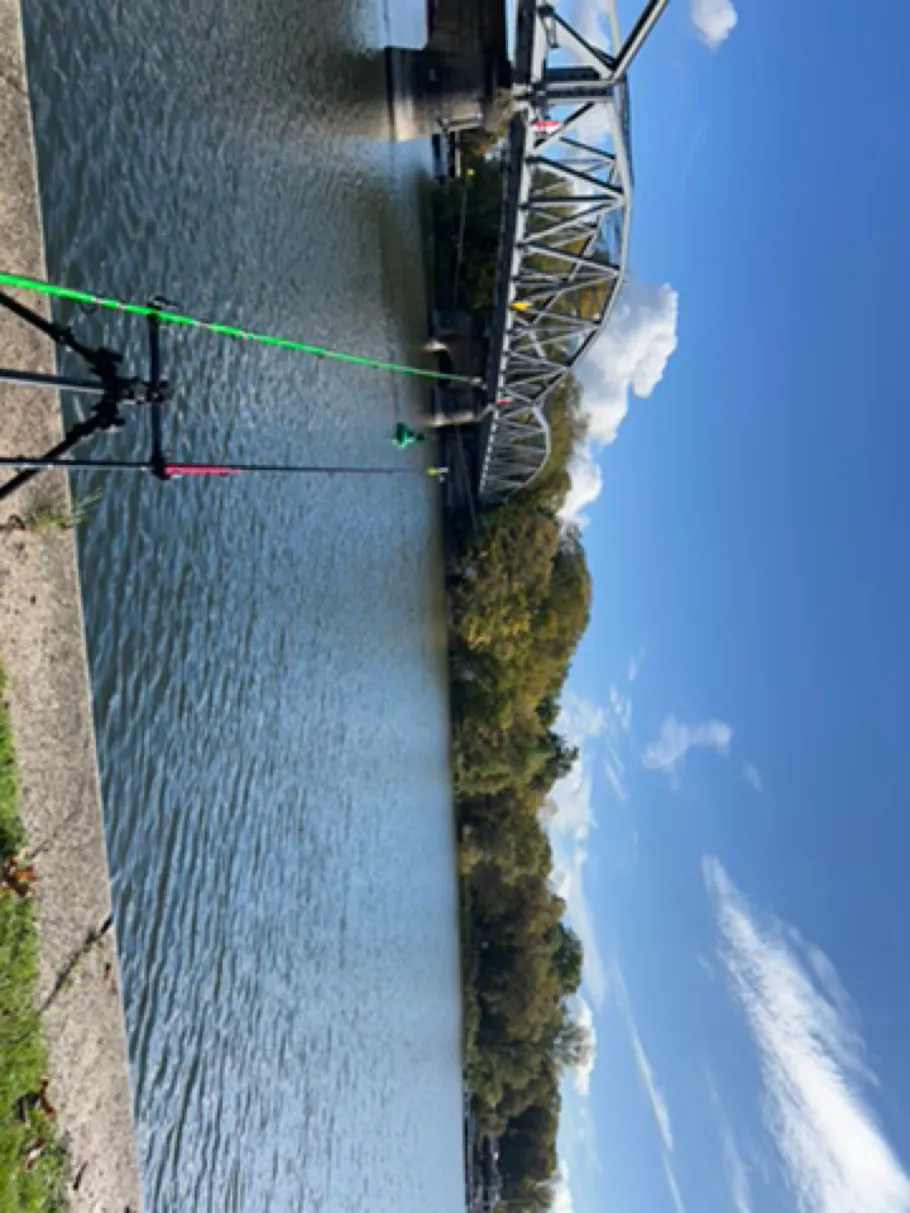 Havel (Plaue/Briest) angeln