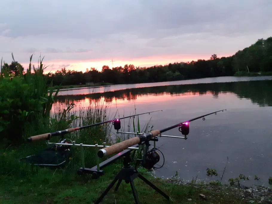 Fischweiher Offenbach/Queich angeln