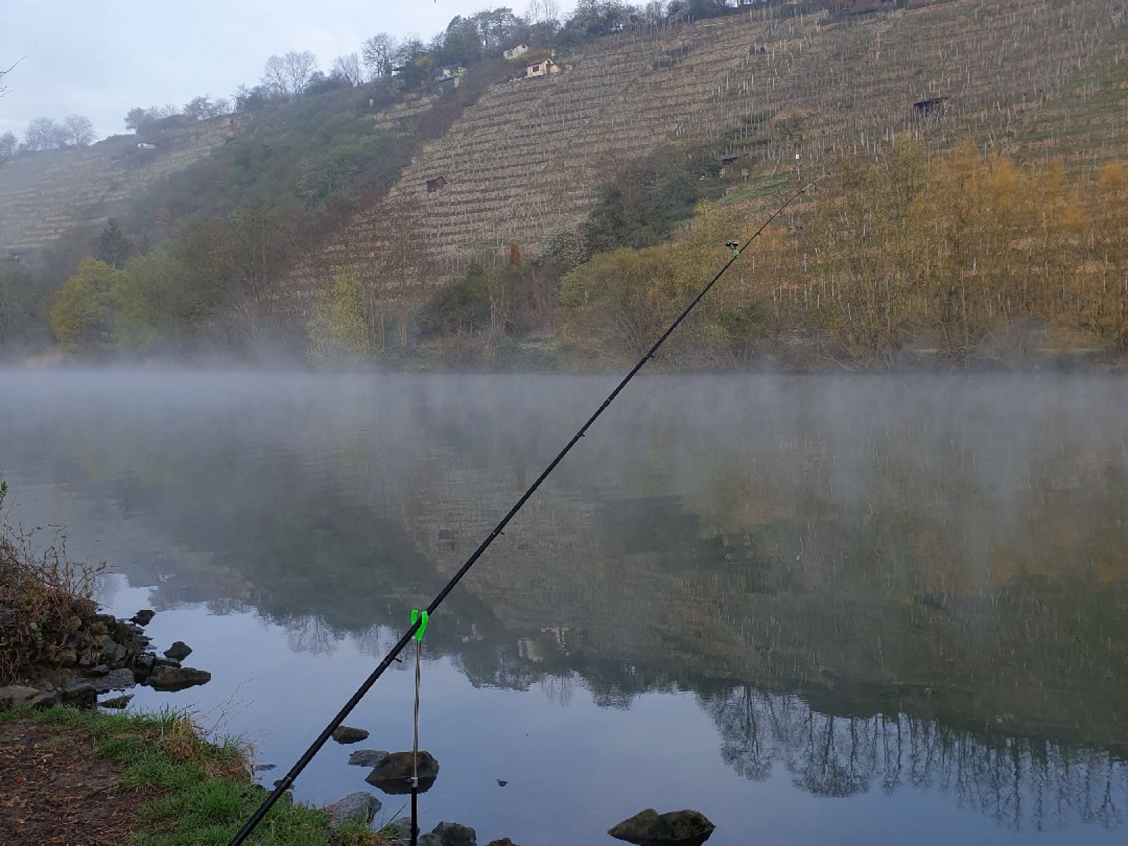 Angeln in Remseck am Neckar