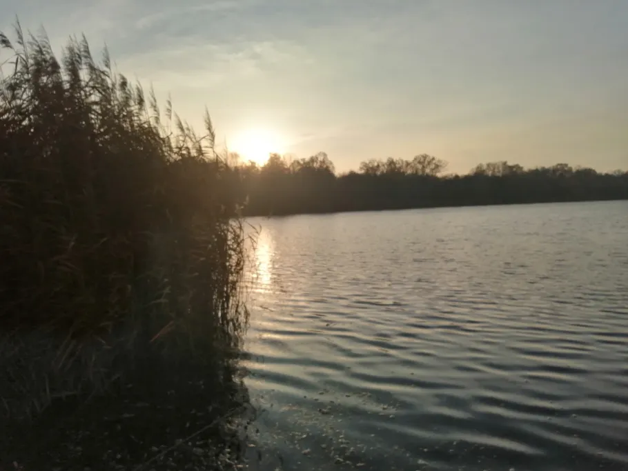 Waldbad (Lauer) angeln