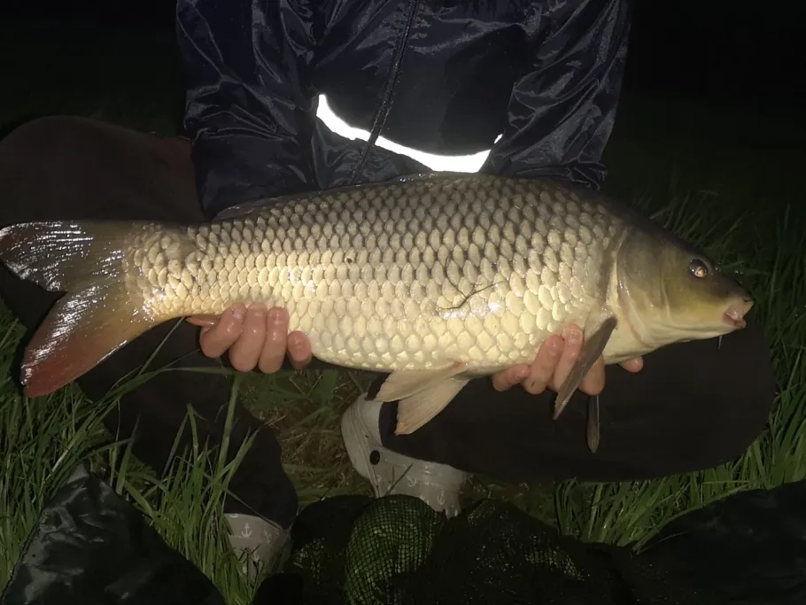 Badesee Lemwerder angeln