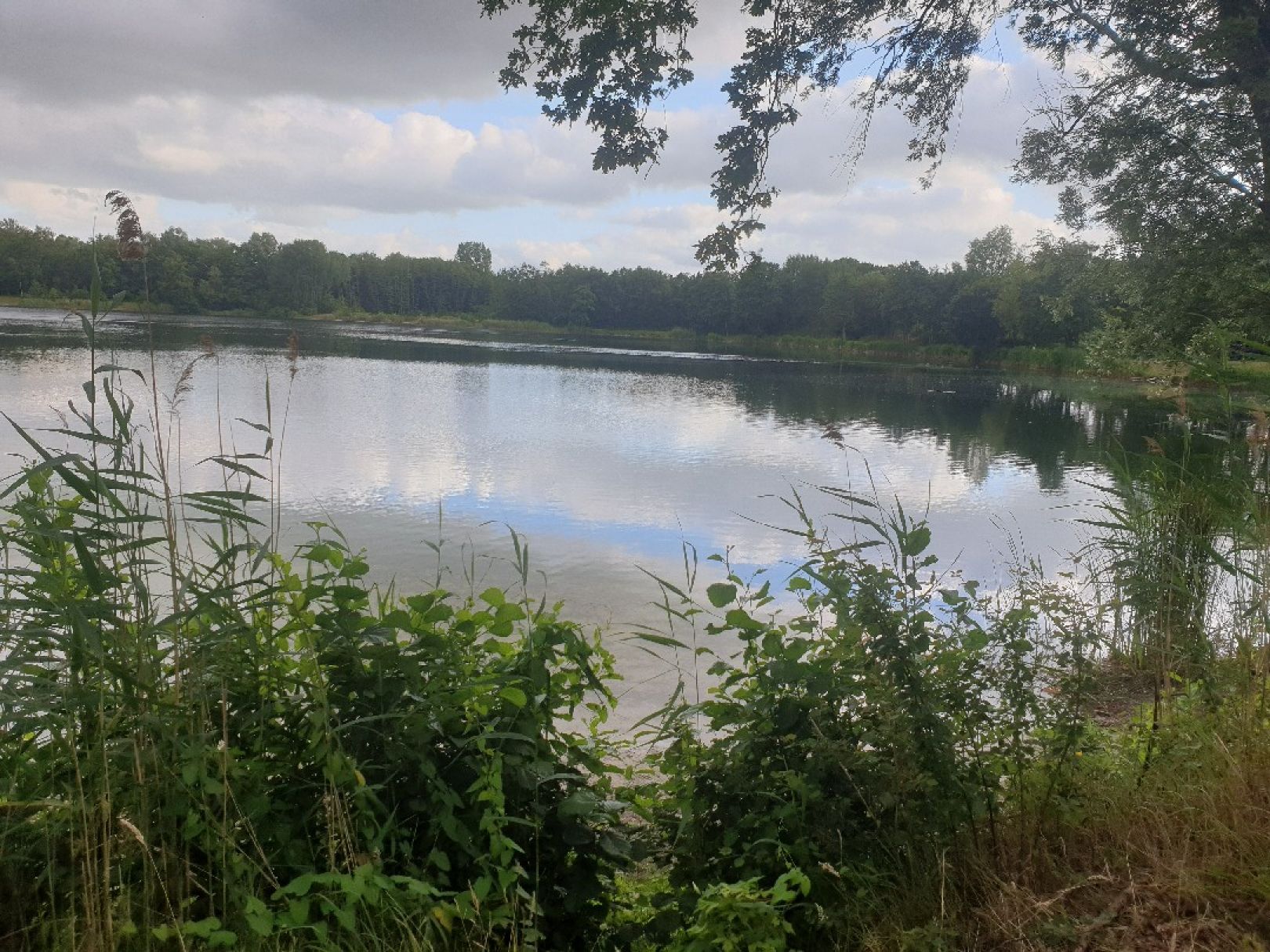 Bösselhauser Kuhle angeln