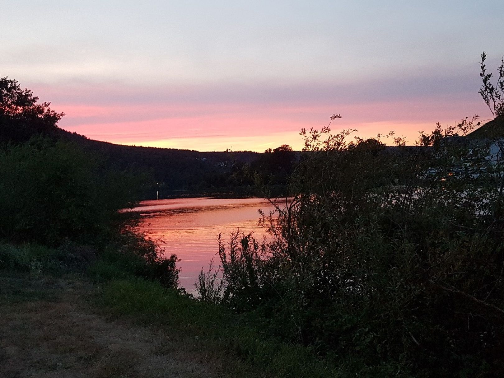 Mosel (Traben-Trarbach) angeln