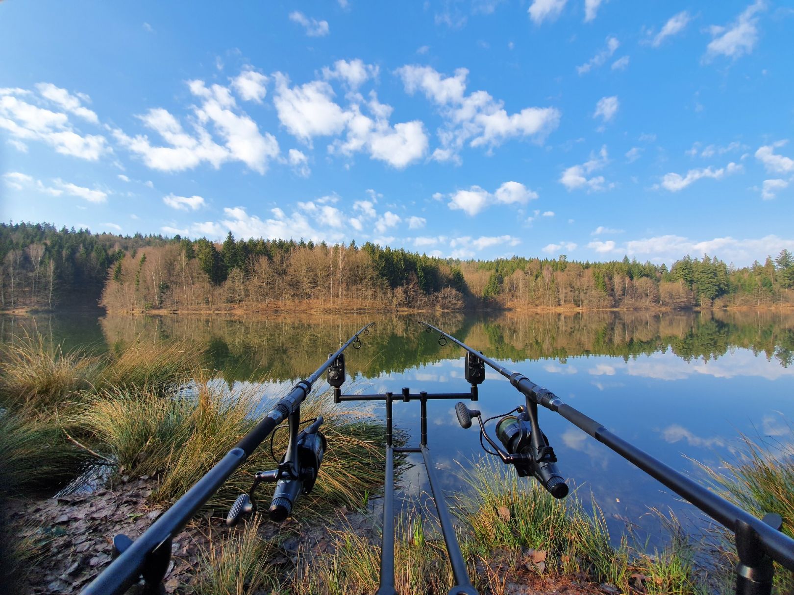 Herrenbachstausee angeln