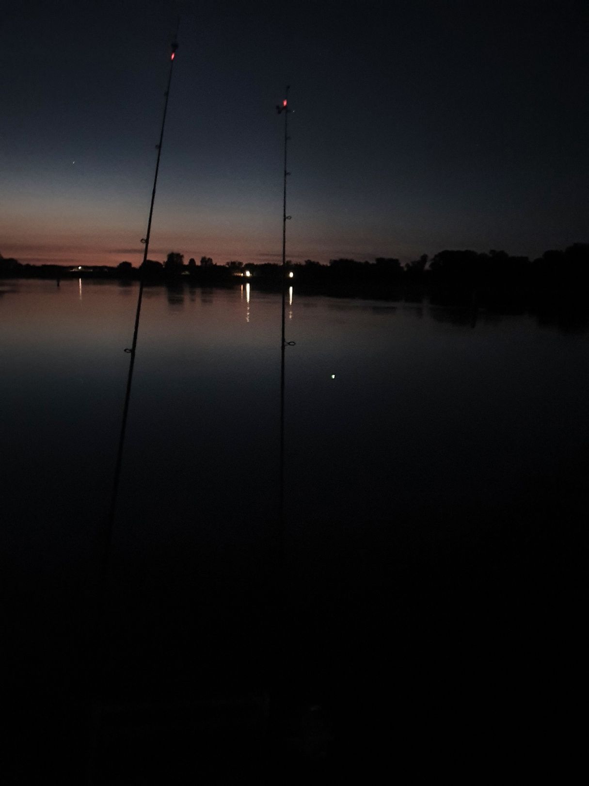 Elbe (Neukirchen/Altmark) angeln