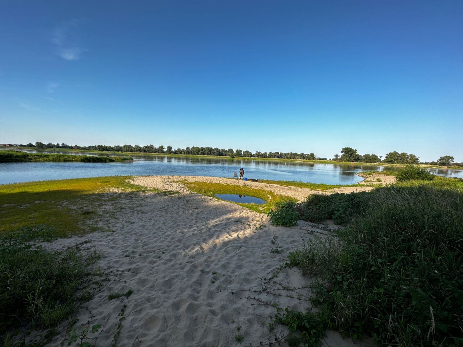 Elbe (Neukirchen/Altmark) angeln