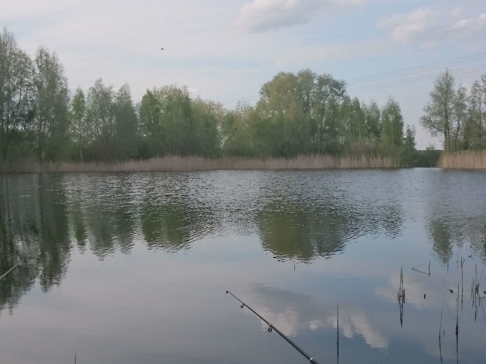 Baggersee Vierraden angeln