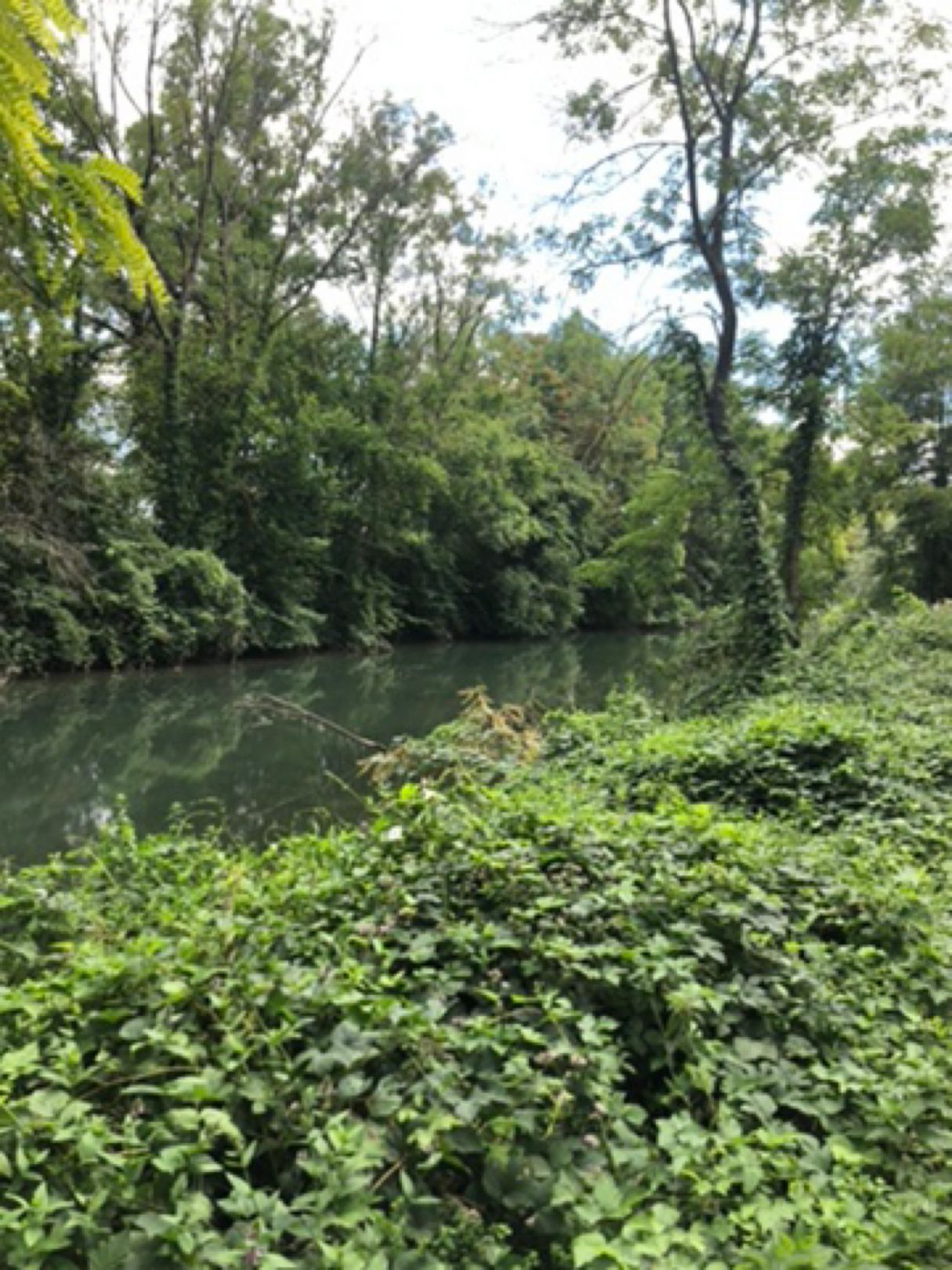 Canal de Neuf-Brisach angeln