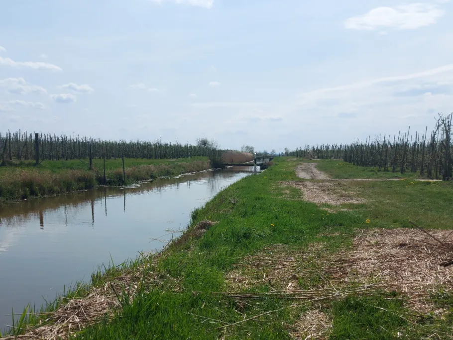 Weddern (Hollern-Twielenfleth) angeln