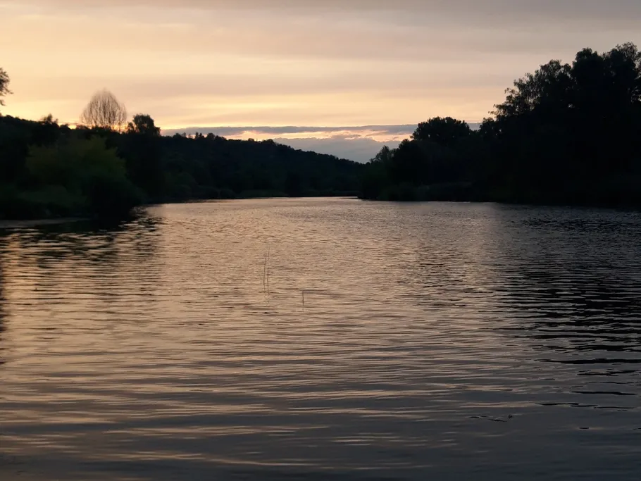 Main (Erlabrunn) angeln