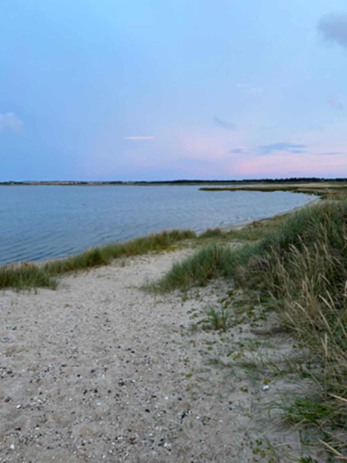 Flade Sø angeln