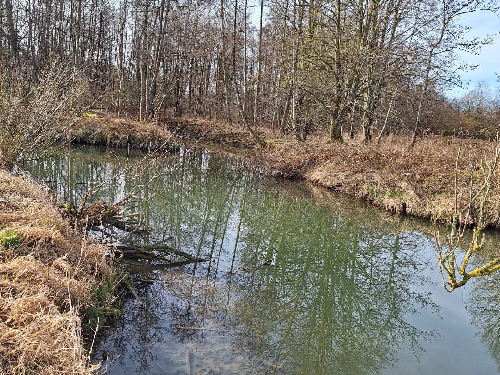 Strogen (Fraunberg) angeln