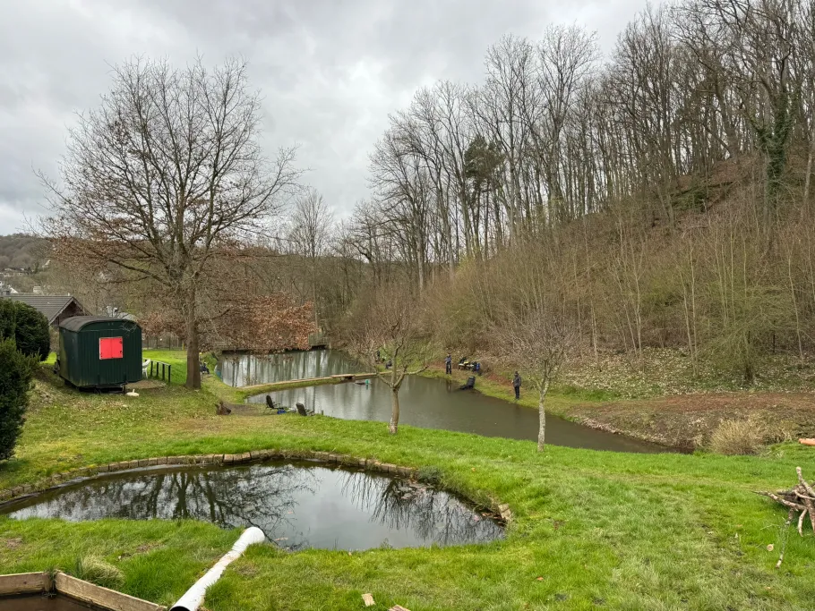 Silberquellchen (Gemünd) angeln