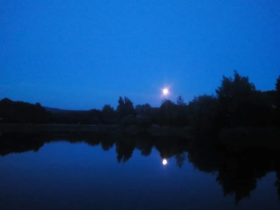 Kaiserteich (Osterode) angeln