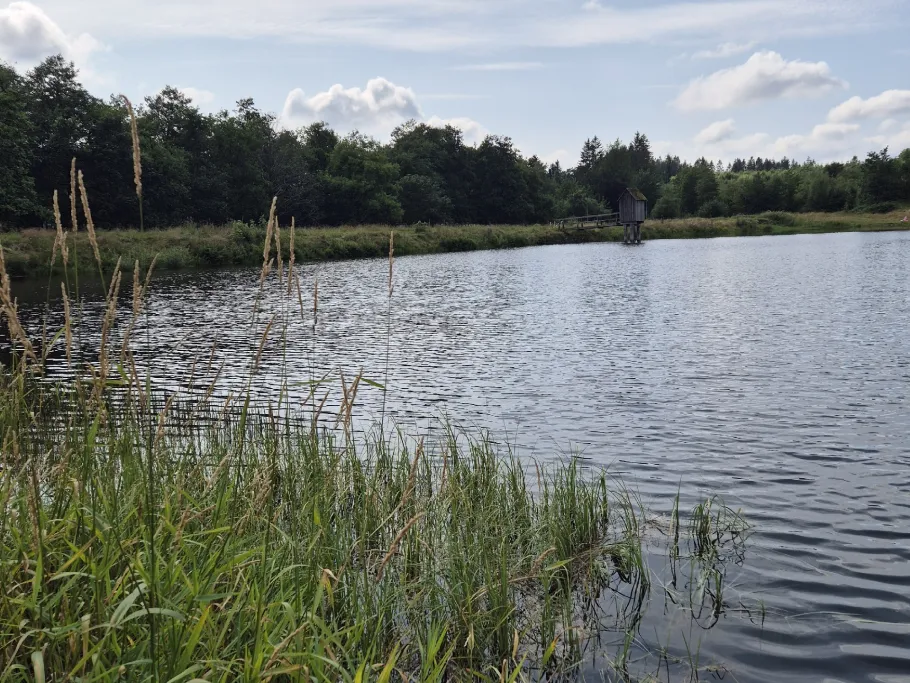 Alter Wasserläuferteich angeln