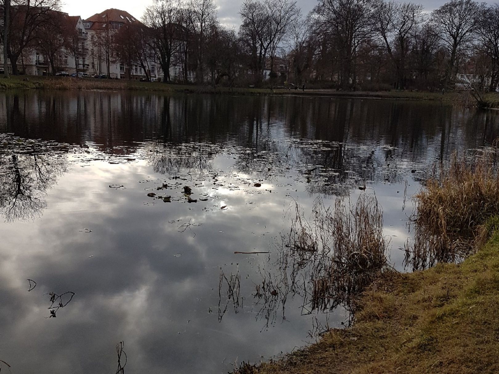 Arthur-Bretschneider-Park (Leipzig) angeln