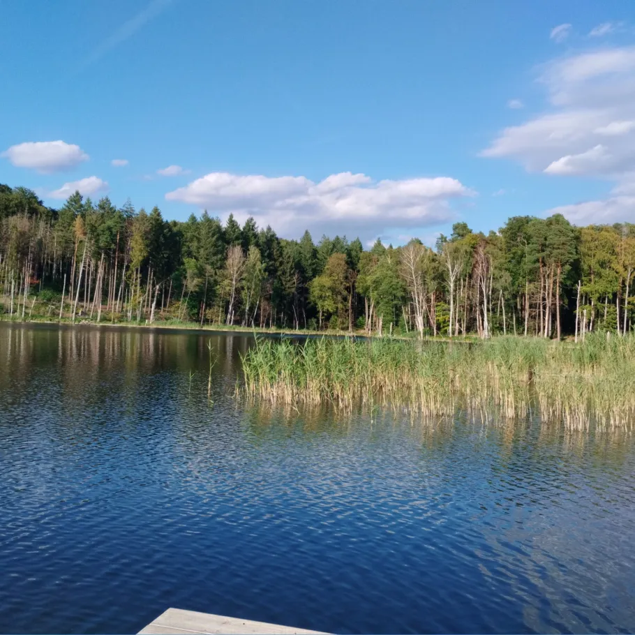 Teufelssee (Tornow) angeln