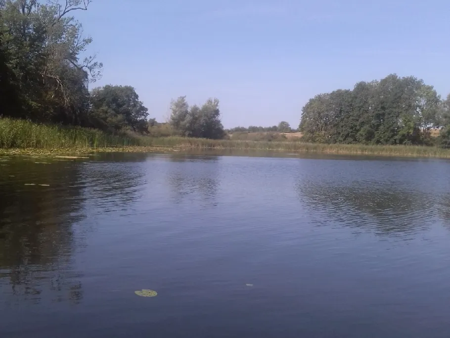 Hofsee (Gremmelin) angeln