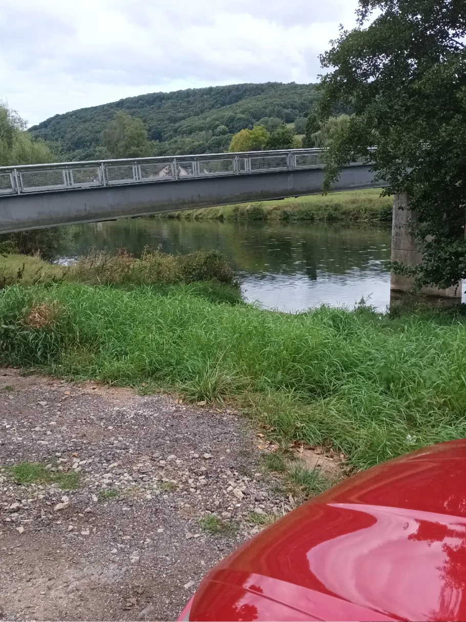 Sauer (Minden) angeln