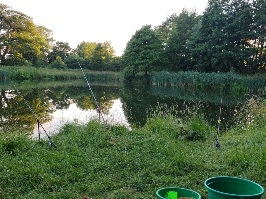 Wiesensee (Brickeln) angeln