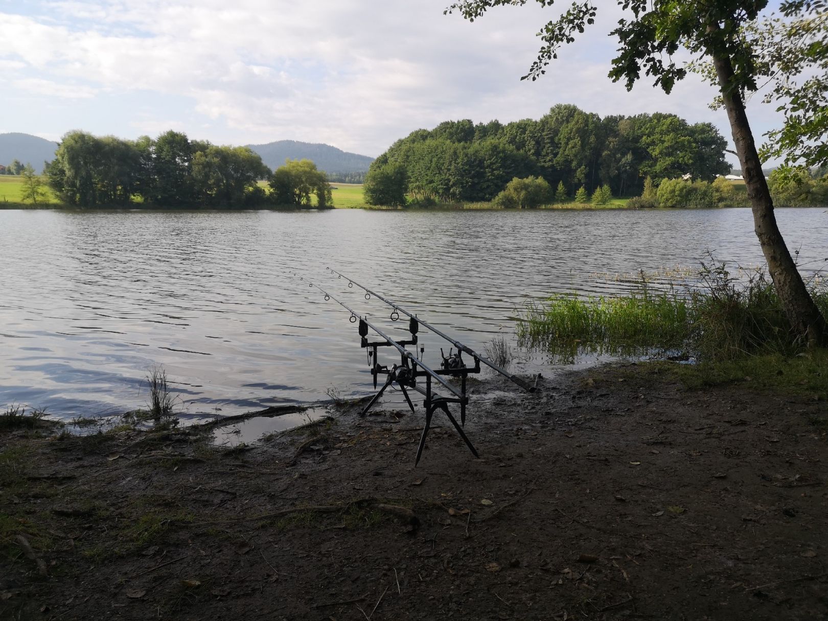 Grundbachsenke Olbersdorf angeln