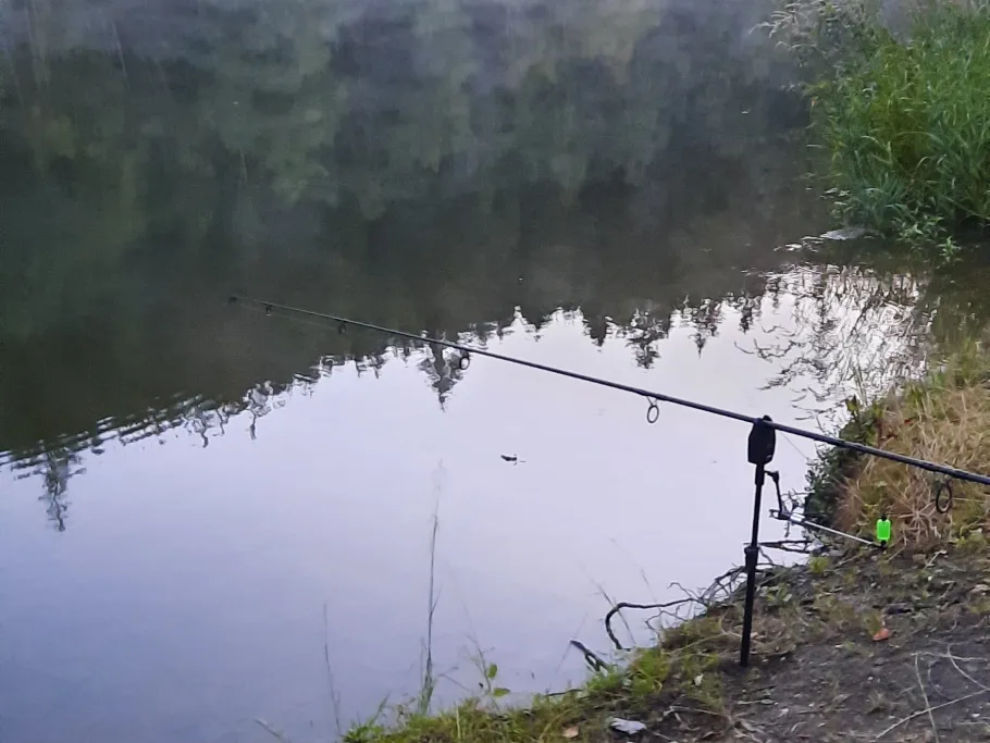 Wisentastausee (Grochwitz) angeln