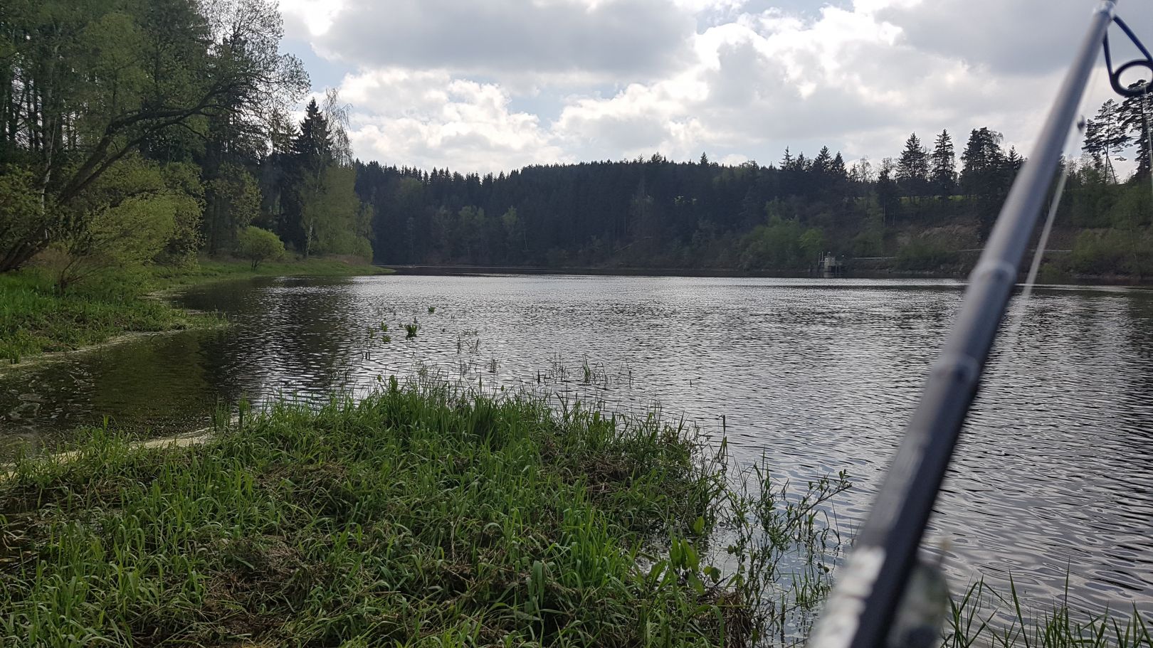 Wisentastausee (Grochwitz) angeln