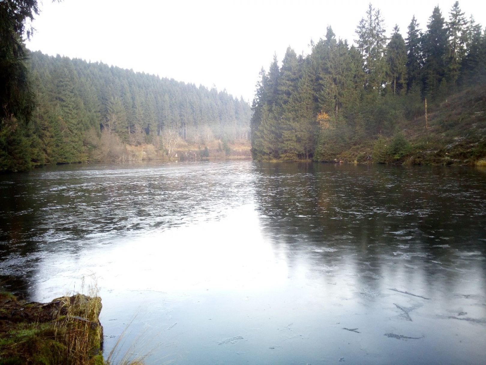 Unterer Grumbacher Teich angeln