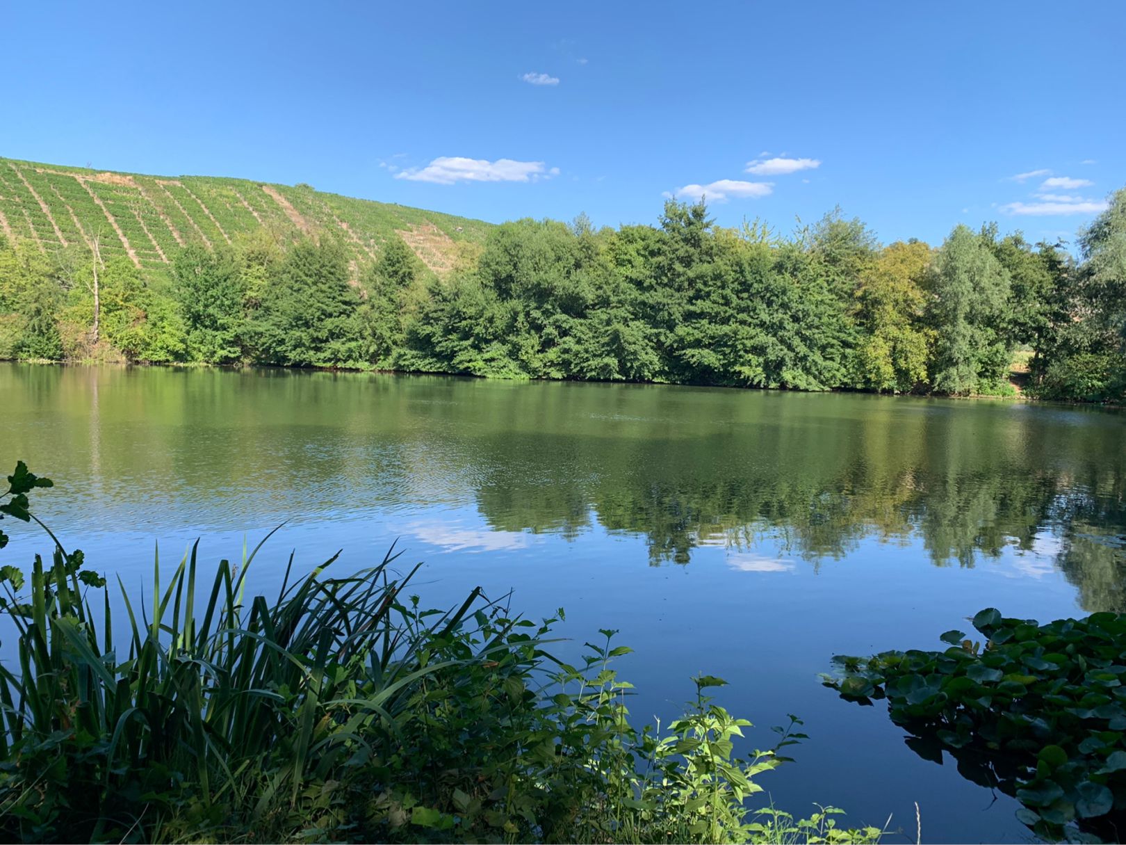 Pfandersee angeln