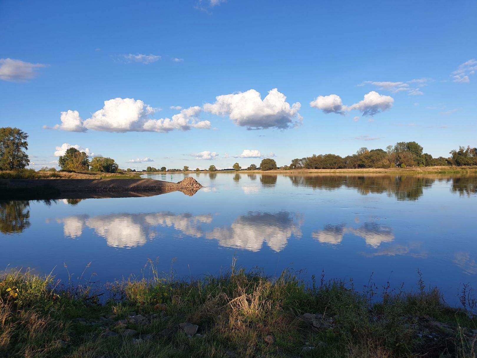 Elbe (Niegripp)  angeln