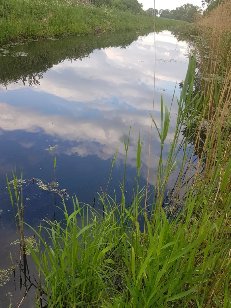 Großer Graben (Spaatz) angeln