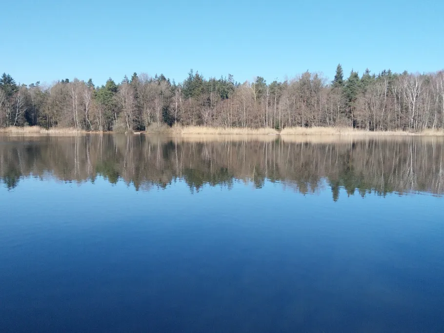 Steineweiler Weiher angeln
