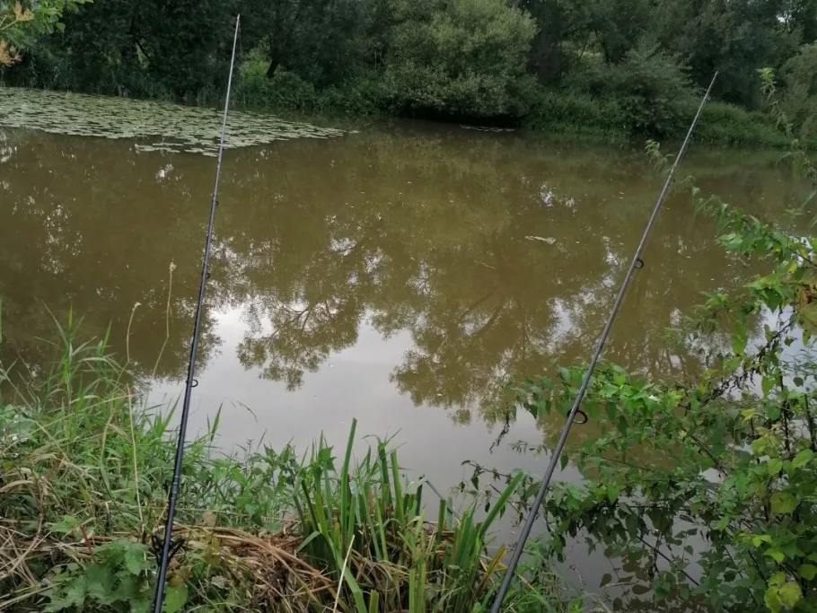 Vils (Mattenham) angeln