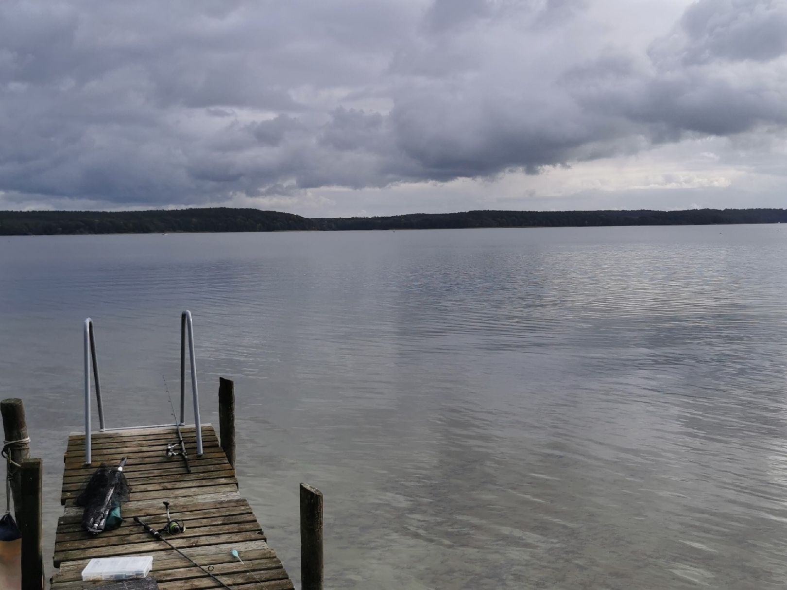 Plötzensee (Plau am See) angeln