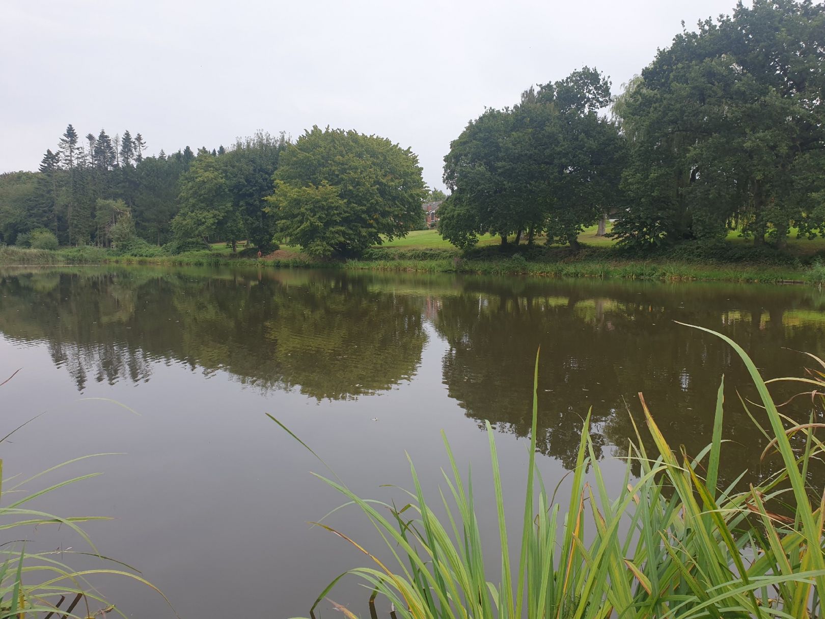 Hüholz-Teiche (Kappeln) angeln