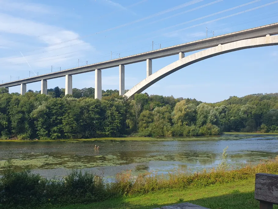 Froschgrundsee angeln