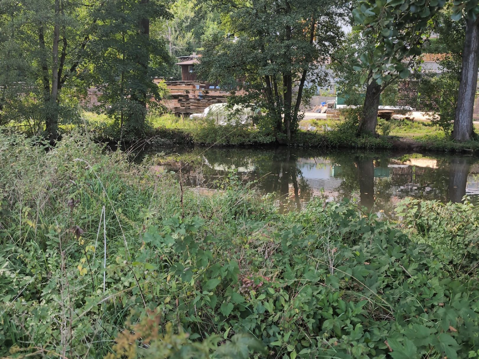 Steinach (Marktgraitz) angeln