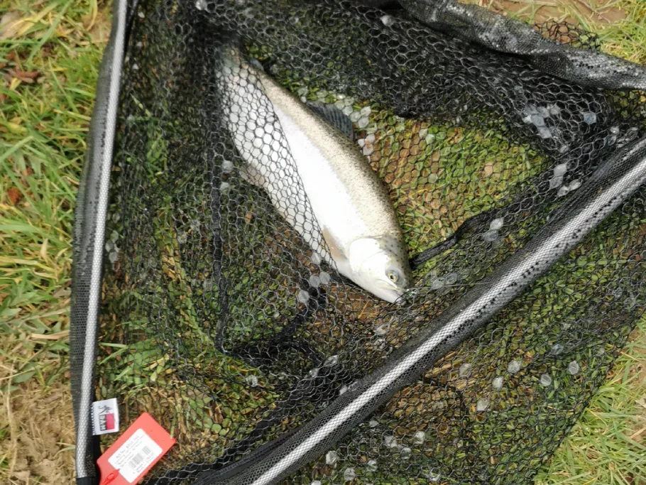 Forellenparadies Korsika angeln