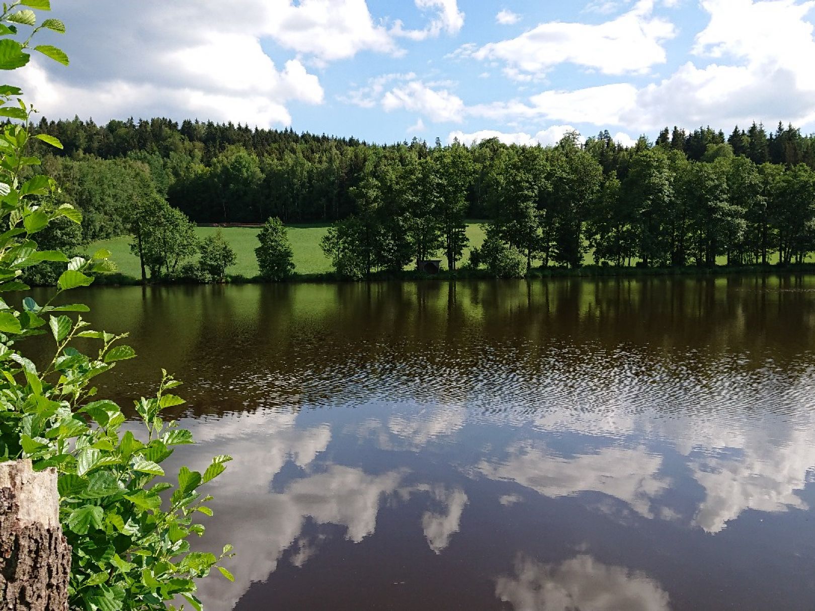 Hornmühlweiher angeln