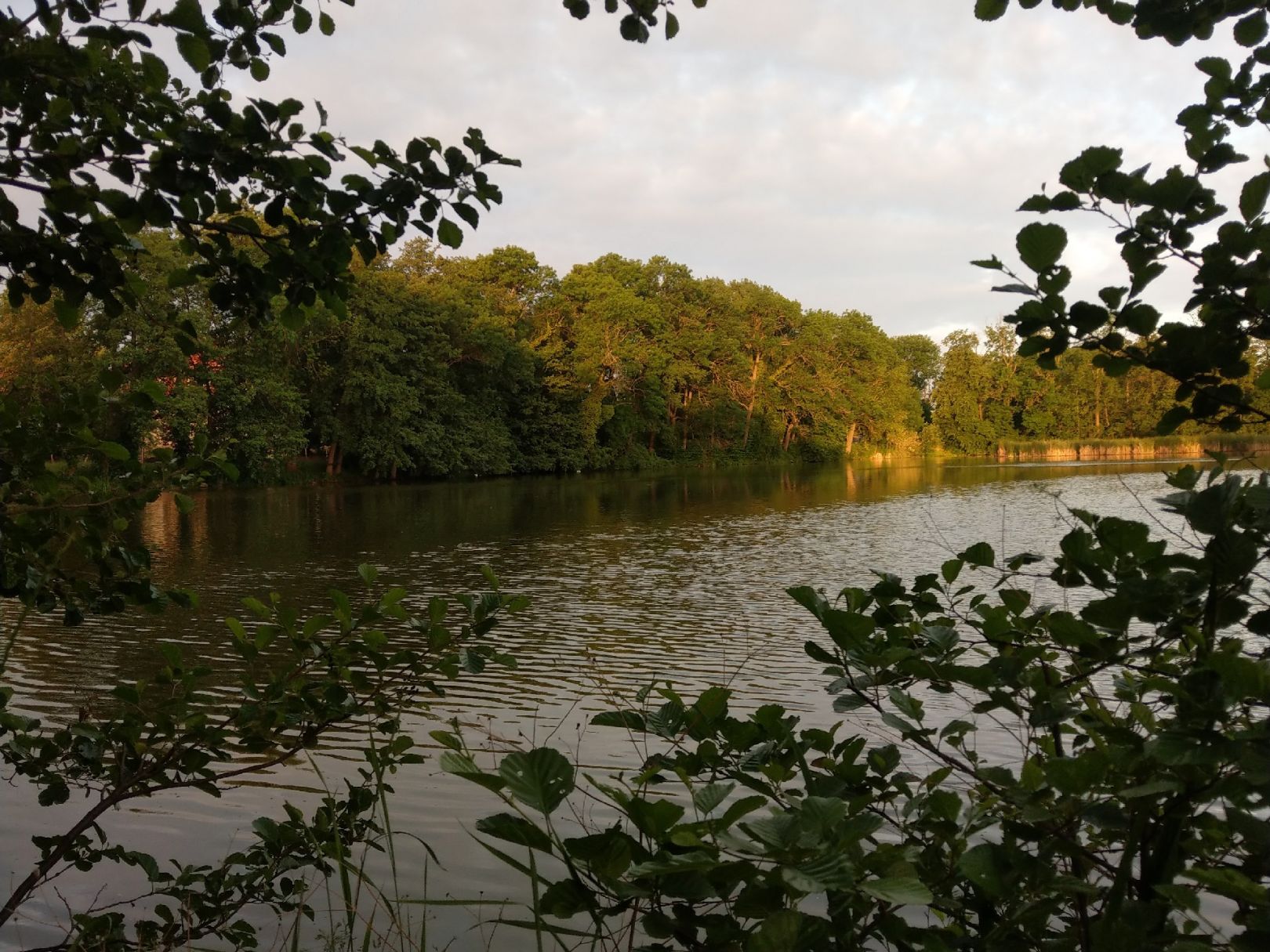 Küchenteich (Gotha) angeln