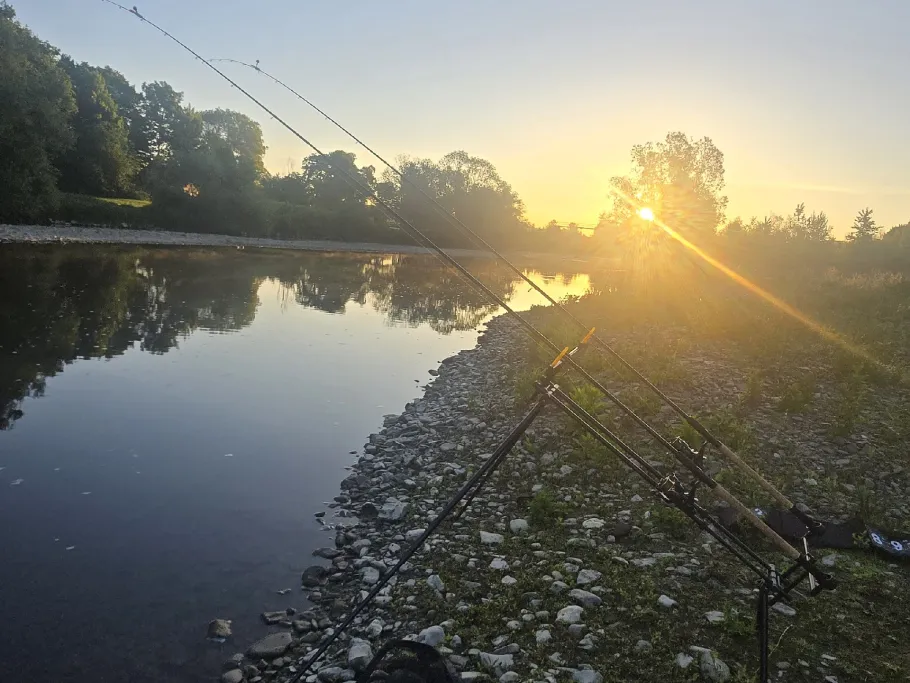 Ruhr (Wickede) angeln