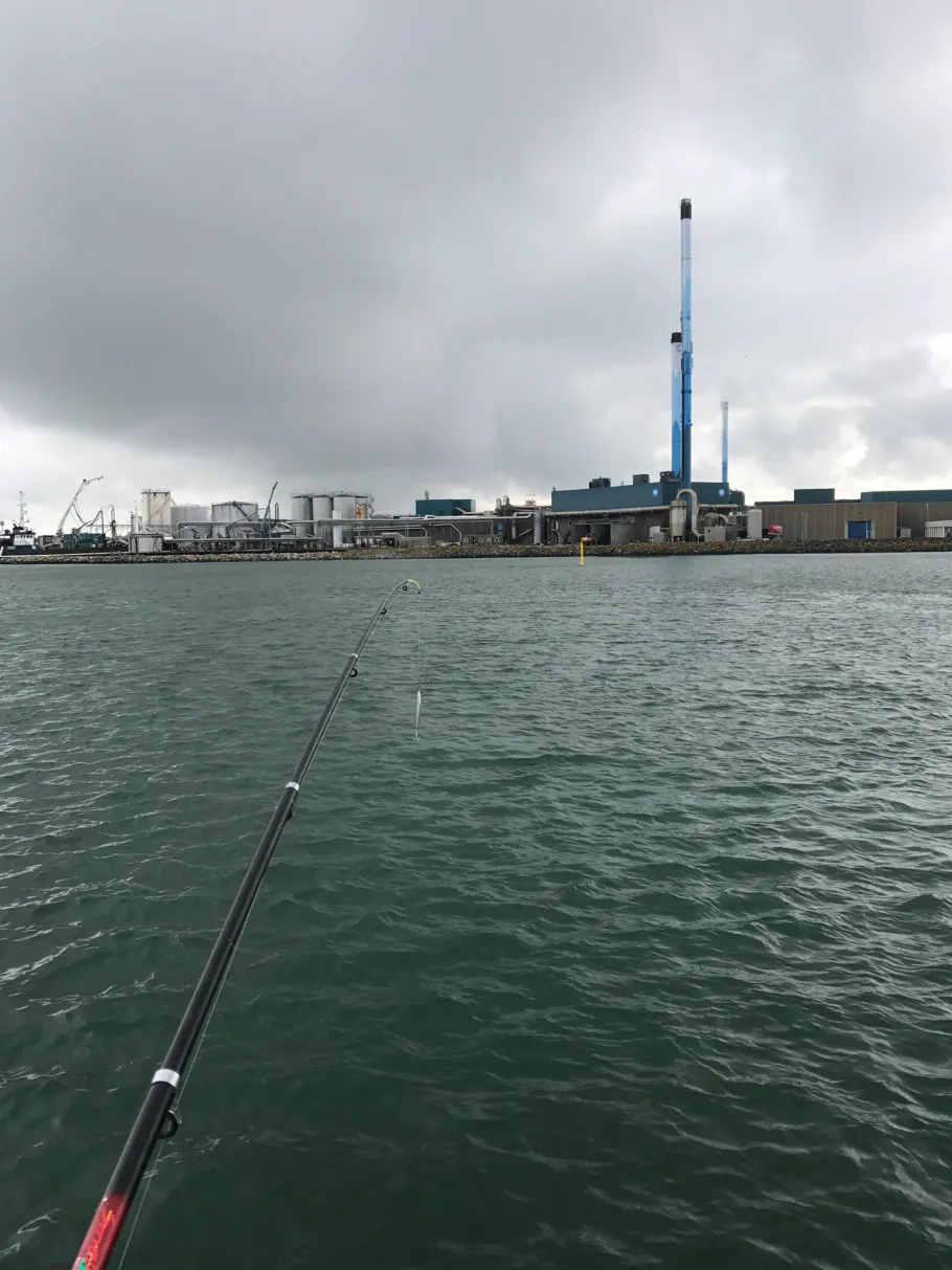 Nissum Bredning angeln