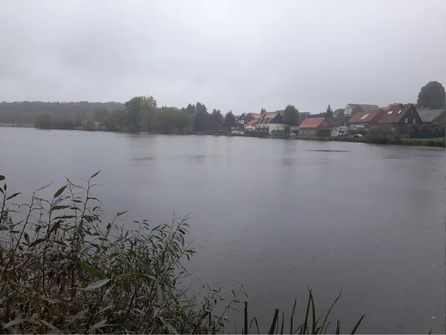 Unterer Teich (Stiege) angeln