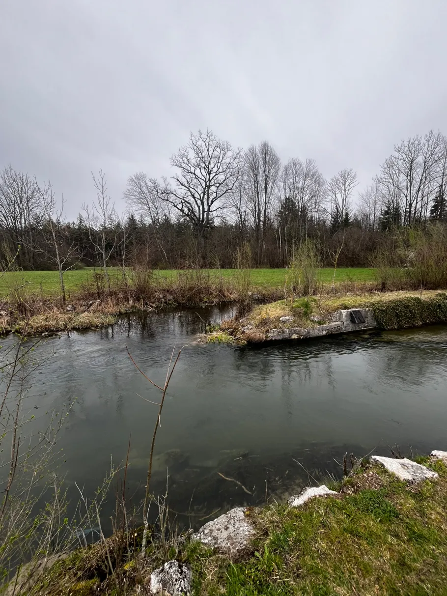 Lochbach (Haunstetten) angeln