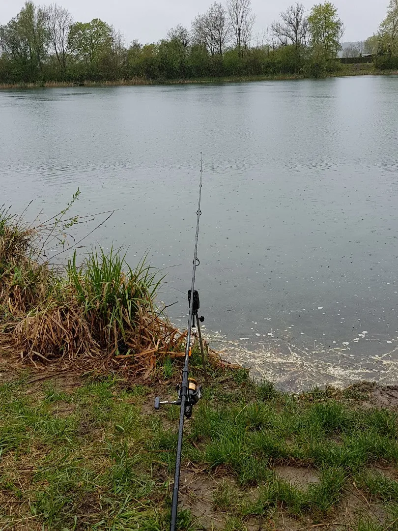 Anglersee (Sinningen) angeln