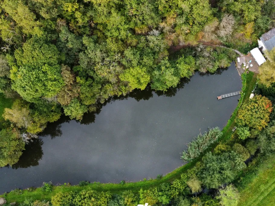 Vereinsweiher AC Fischbach angeln